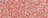 002-BLOSSOM 002-BLOSSOM
